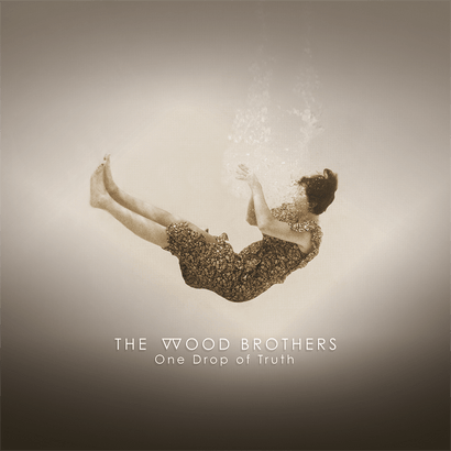 Cover art of TWB One Drop of Truth vinyl showing a person falling in sepia tones with album title below
