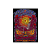 Dark Star Orchestra Poster for Feb 2023 Shows at the Warfield in San Francisco Foil Edition