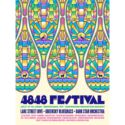 4848 Festival 2025 Poster, Standard