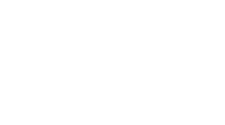 Saleka logo