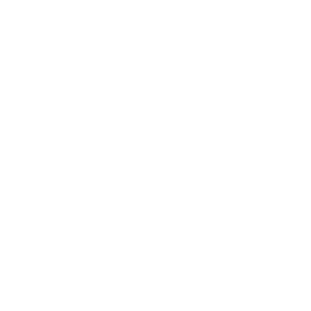 Logo graphic for Low Water Bridge Band 