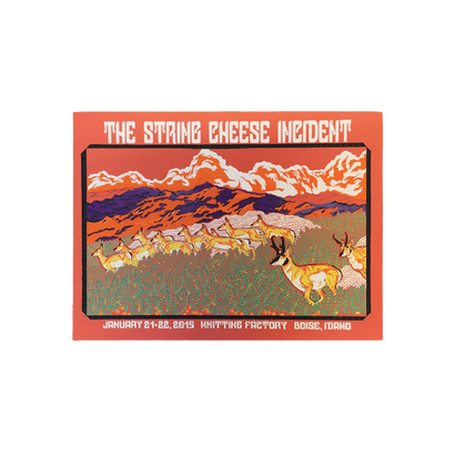 The String Cheese Incident 2015 Knitting Factory Boise, ID Poster